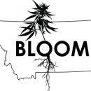 Bloom Montana - Helena
