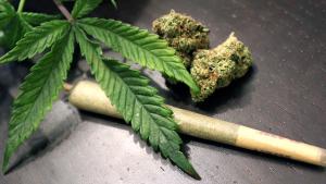 Natural Healing Buds - Cannabis Dispensary