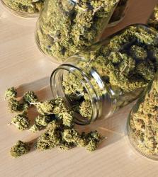 Essential Greens - Cannabis Dispensary