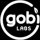 Gobi Labs