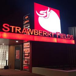 Strawberry Fields -  Pueblo - North