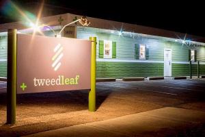 Tweedleaf  - Colorado Avenue