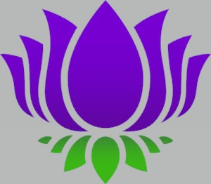 Purple Lotus