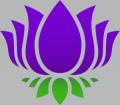 Purple Lotus