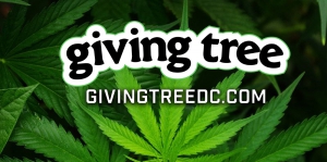 Giving Tree DC