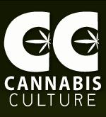 Cannabis Culture