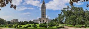 Louisiana Cannabis Industry Association