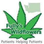 Fullys Wildflowers